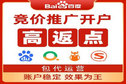 SEM外包策略在电商平台的成功案例